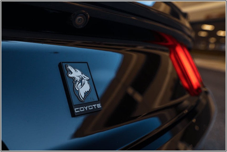 예상치 못한 렌트카 휴차료, 사고 발생 시 꼭 알아야 할 정보