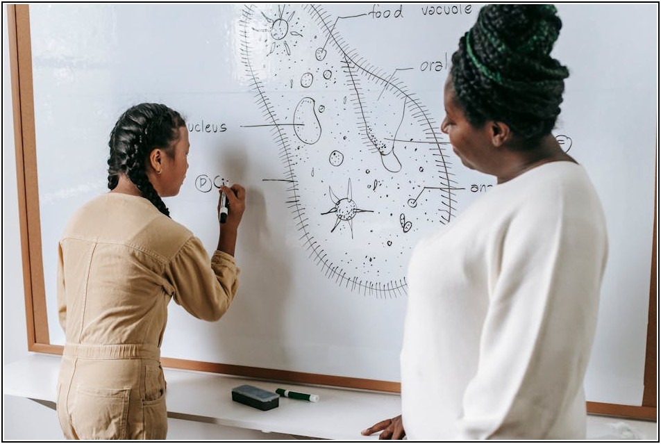 필승 전략! 소방공무원 시험, 인강으로 합격의 문 열기