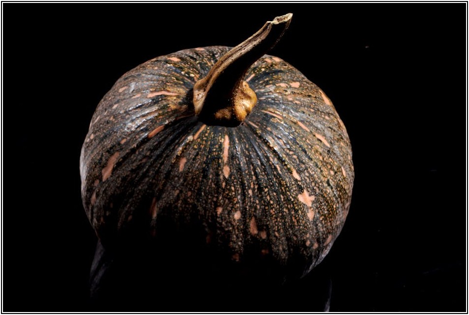 성공적인 녹색건축을 위한 필수 정보: 혜택과 절차 안내