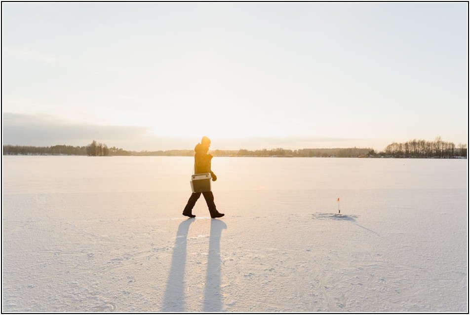 맛과 신선함 그대로! 종이 보냉 박스 사용 가이드

# 도입부