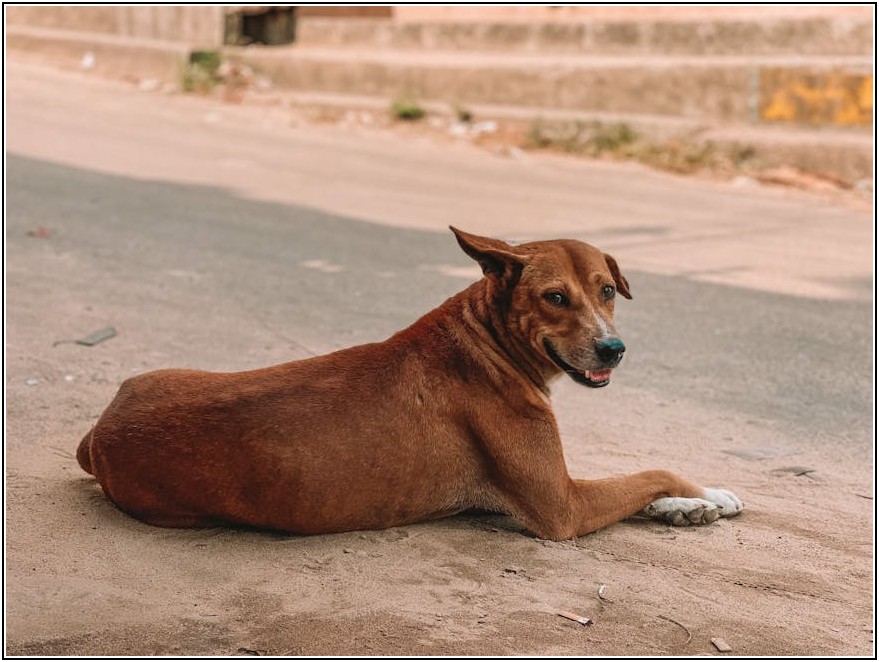안전한 휴식, 졸음쉼터 화장실 개선 방안
