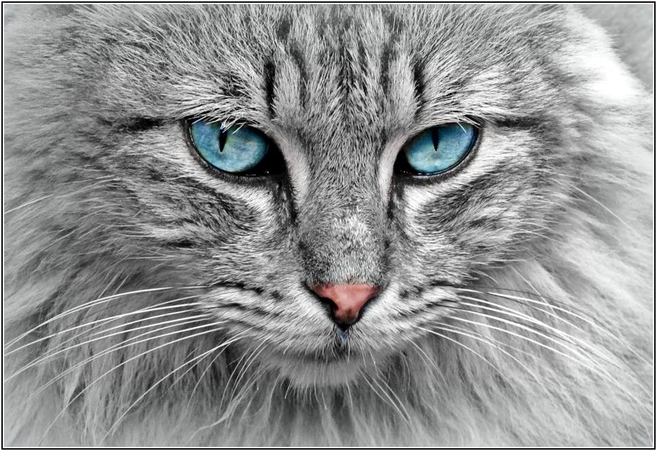 에스바이오 성공 신화, 그 중심에 기업 문화가 있다