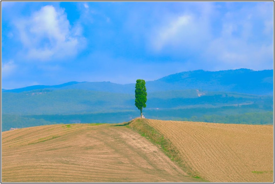 성공적인 농업법인 설립, 유형별 장단점 제대로 알기