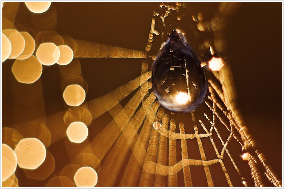 성공적인 웹 퍼블리싱 취업 로드맵: 포트폴리오부터 면접까지

# 도입부