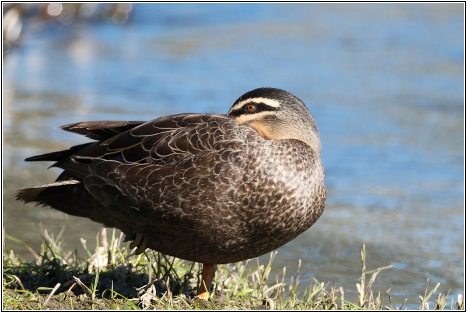 가성비 최고! 키즈 워터파크 할인 이벤트 정보