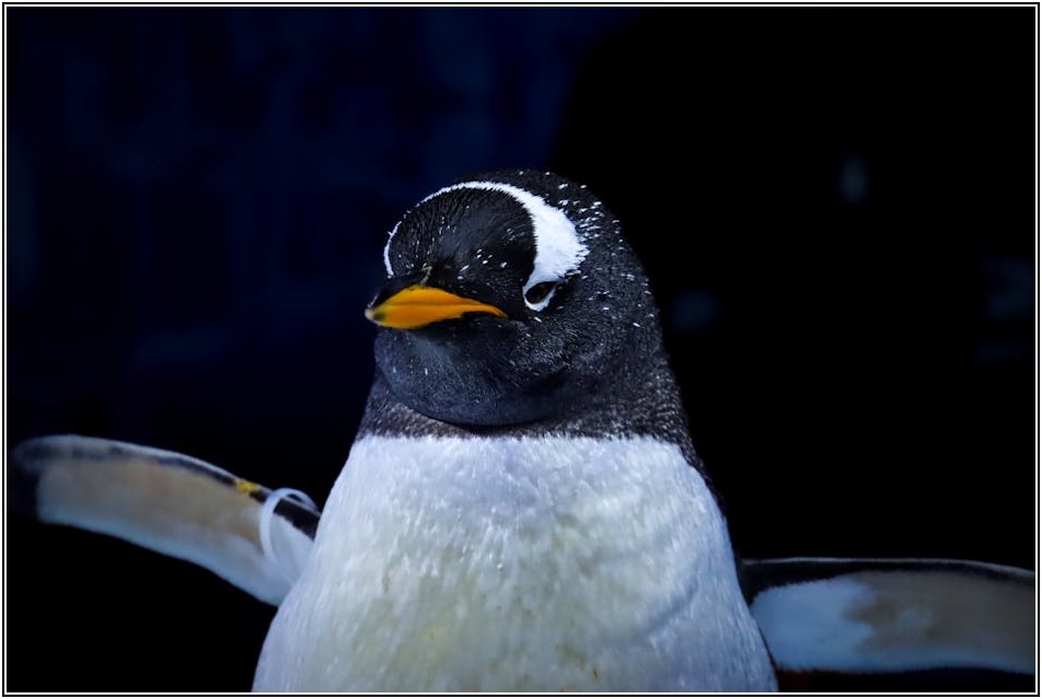 막막했던 직렬 리액터 고장, 명쾌한 해결책 제시