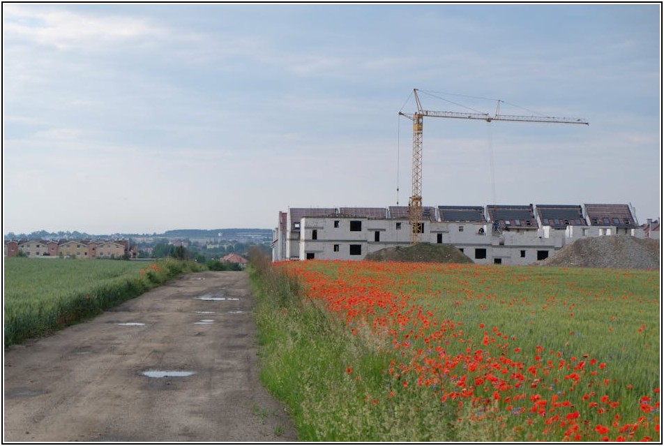 성공하는 조경식재공사업, 차별화된 경쟁력 만들기