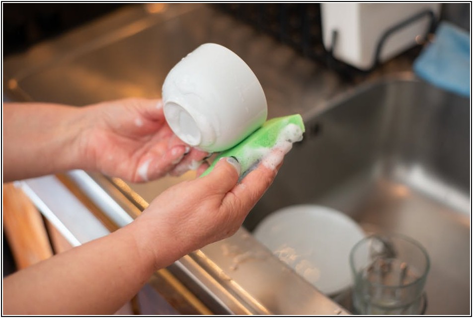 라텍스 스펀지, 이것만 알면 후회 없다! 가격 비교 가이드