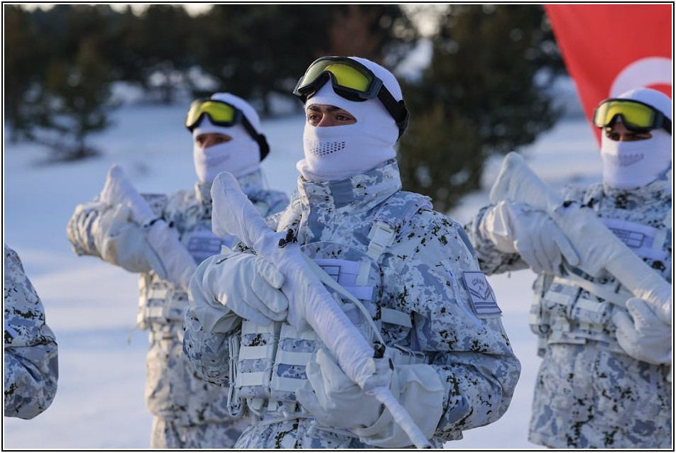 군대 징계, 관련 법률과 규정 제대로 파헤치기