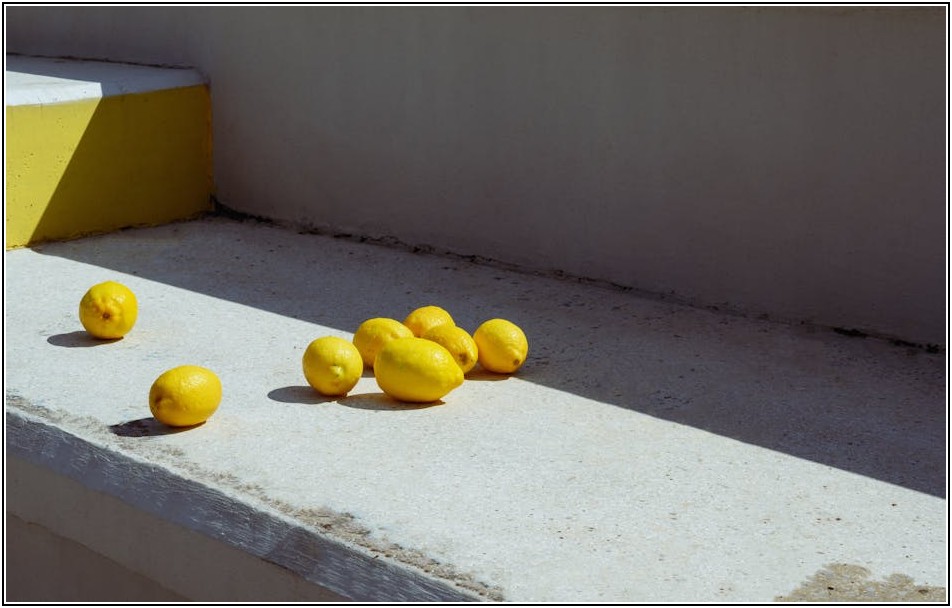 스테아르산, 당신의 건강에 어떤 영향을 줄까요?