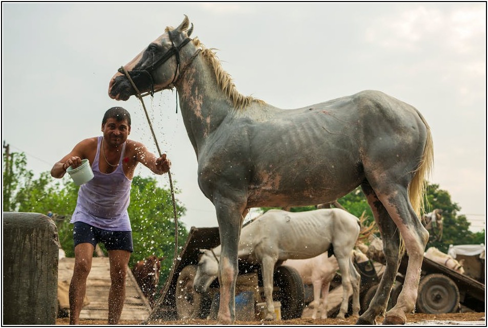 호스 어댑터 설치, 누수 방지 완벽 노하우