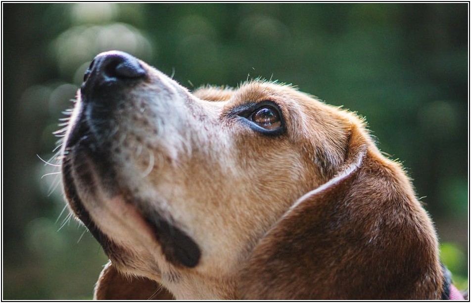 스프링클러 헤드 종류별 특징 완벽 정리: 화재 안전 길라잡이