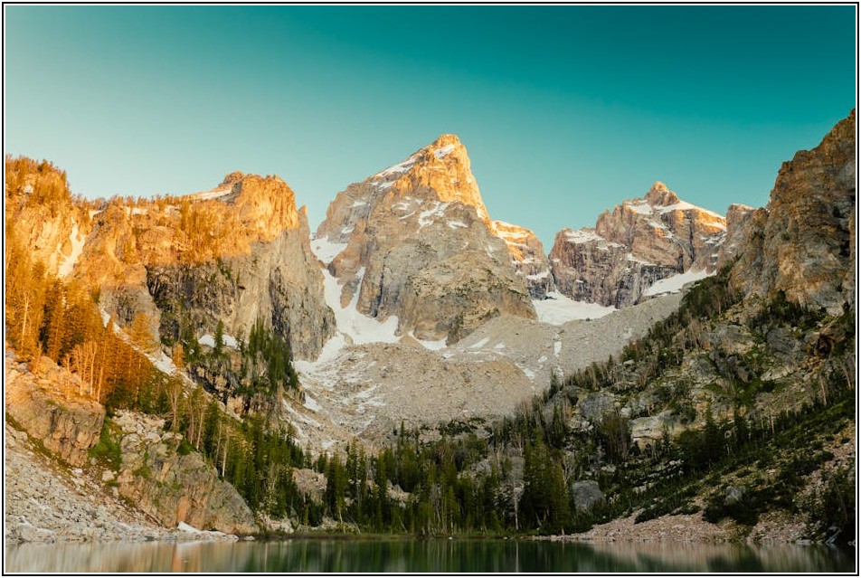 환경 보호, 인증 마크가 알려주는 지속 가능한 미래