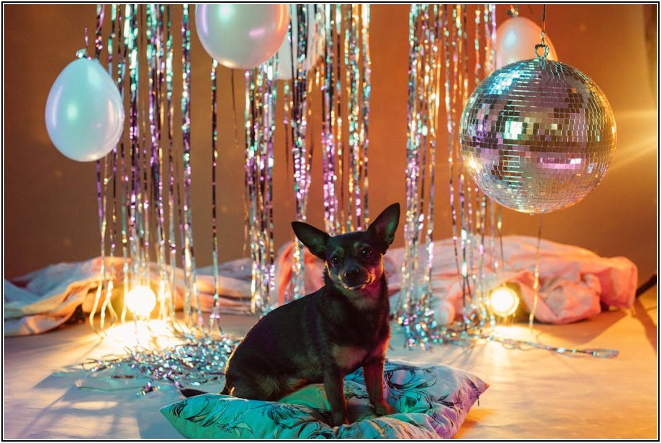 잊지 못할 강남 생일파티, 생생한 후기와 멋진 사진 만들기