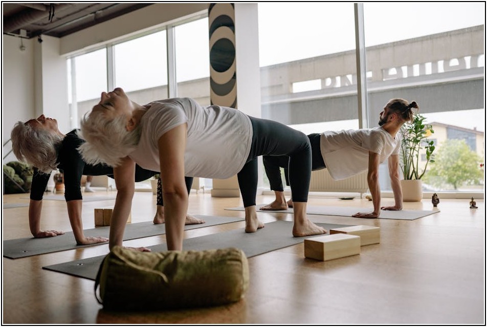 제이앤티씨 주가 전망: 투자자가 알아야 할 모든 것
