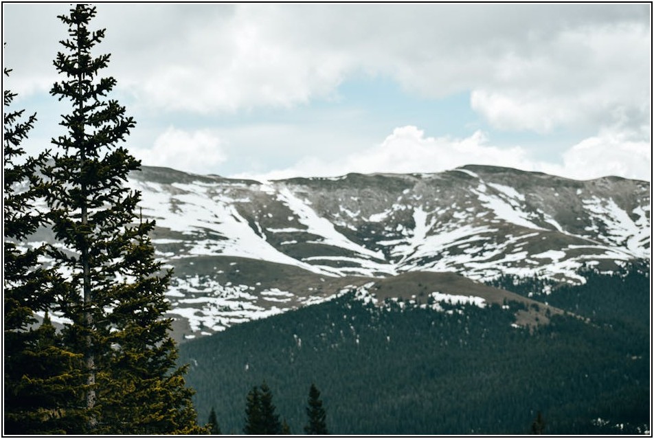 나만의 에코백, 무지에서 시작하는 특별한 디자인