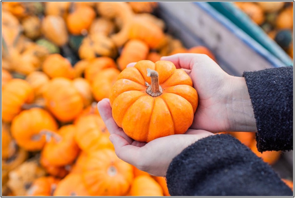 인기 만점 양동시장 가구 트렌드, 지금 바로 확인하세요!