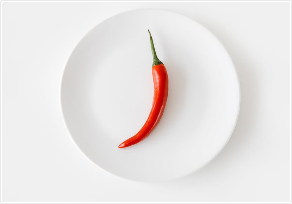 고추망 활용법: 실패 없는 고추 농사의 비결