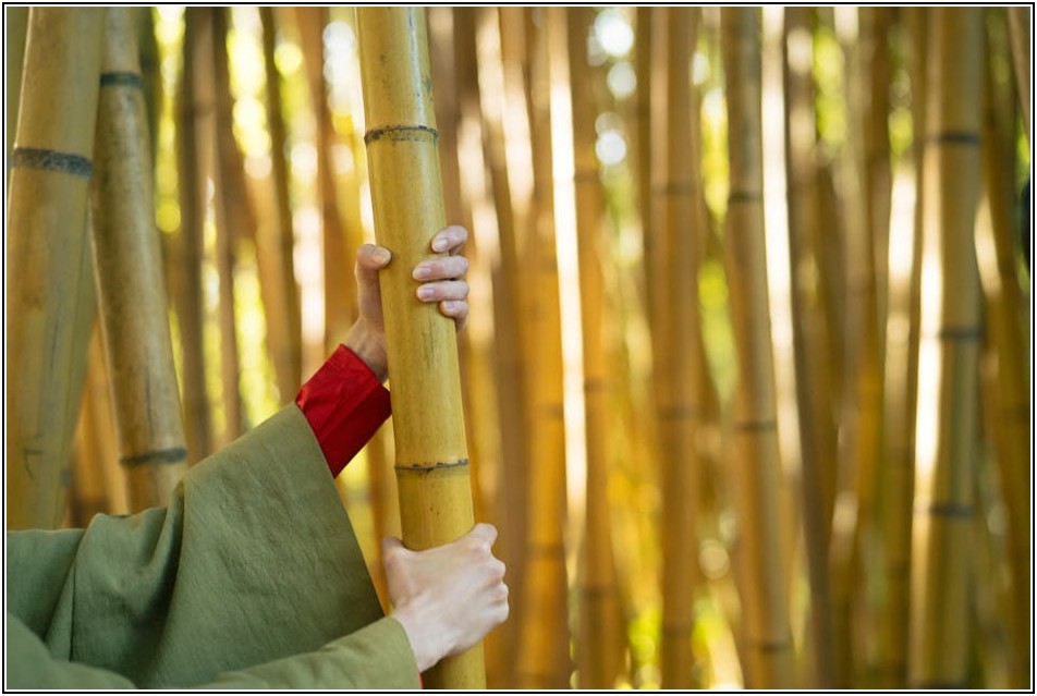 종이 사전 vs 전자 사전, 일본어 학습자를 위한 최적의 선택