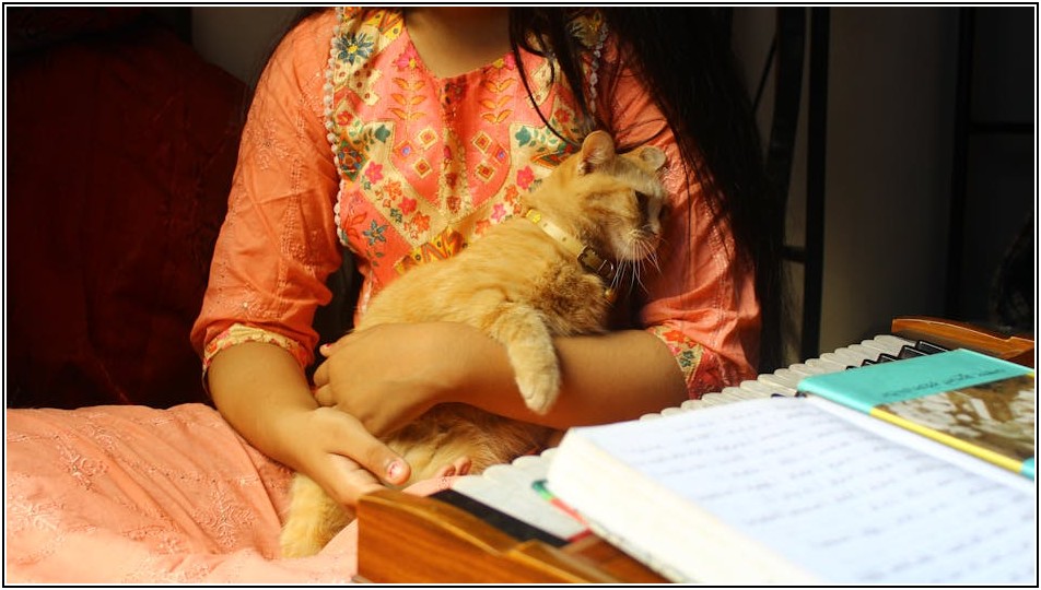 옷을 살리는 기술, 수선 배우는 길