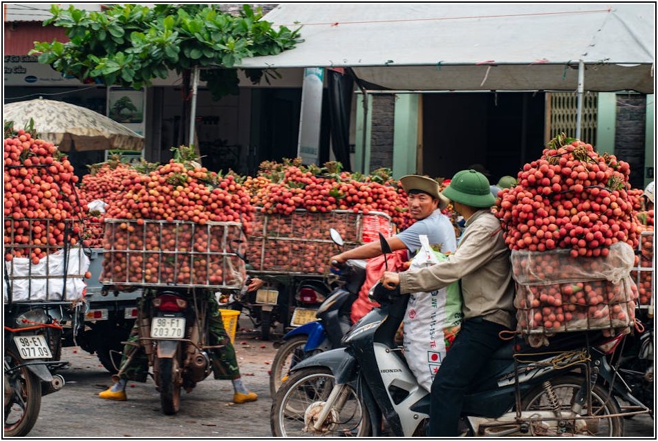 괴로운 숙취, 음식으로 푸는 비법 대공개