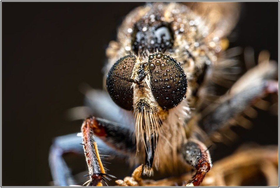 엑셀 매크로, 똑똑하게 활용하고 위험은 피하기