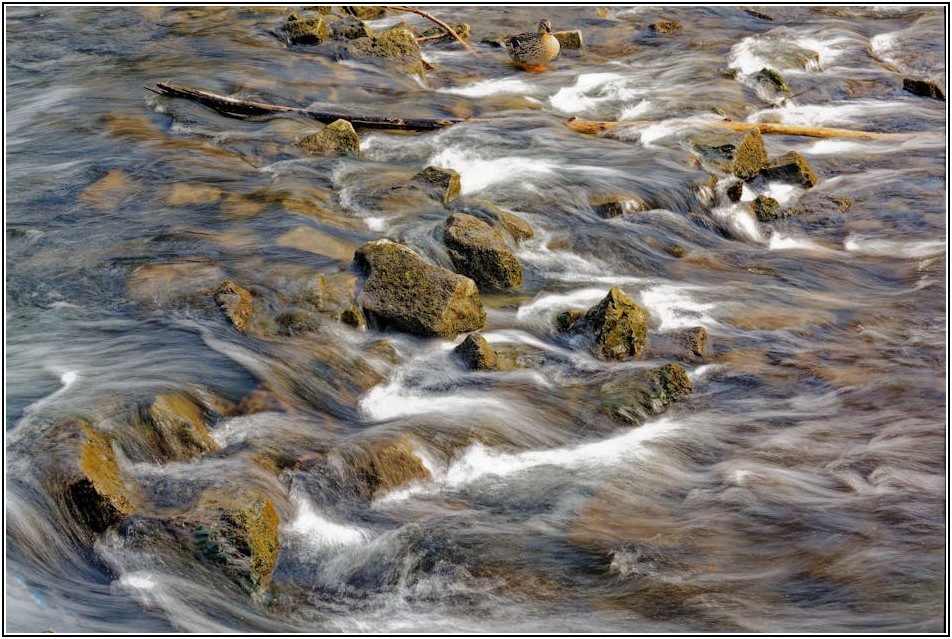 돌침대 폐기, 복잡한 절차 대신 간편하게 해결하는 노하우