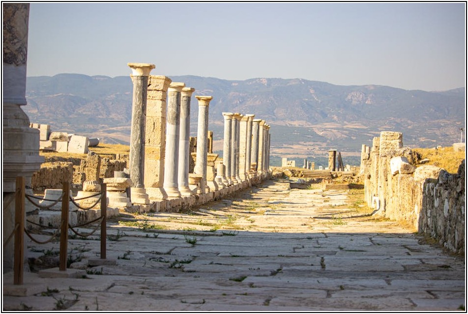 기출문제 사이트로 자격증 시험 완전 정복하기