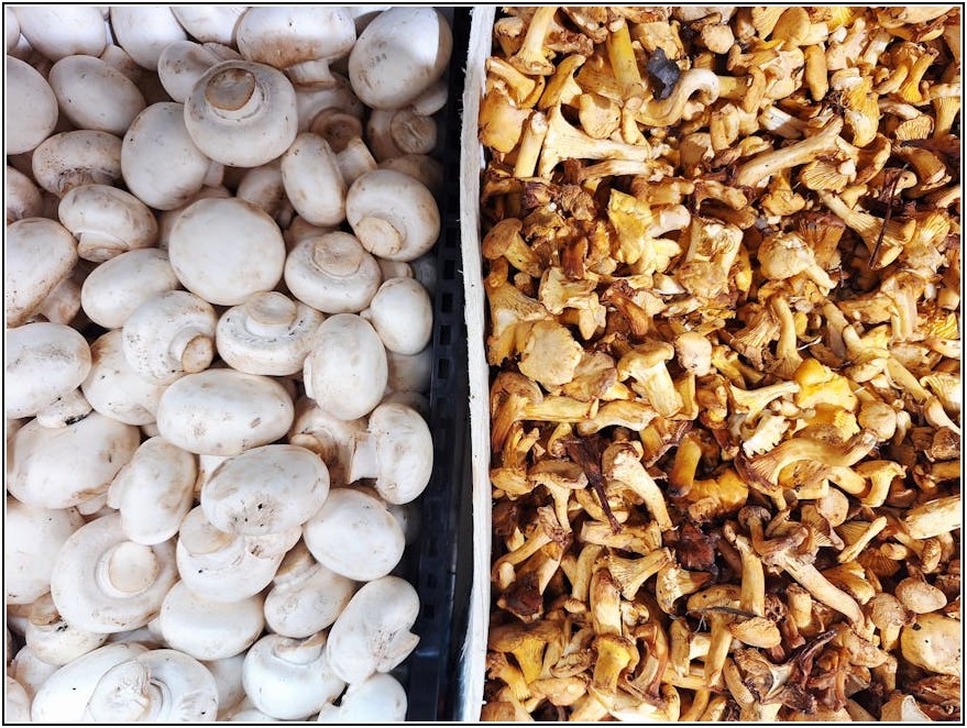 매력적인 인스타마켓, 고객을 사로잡는 운영 노하우