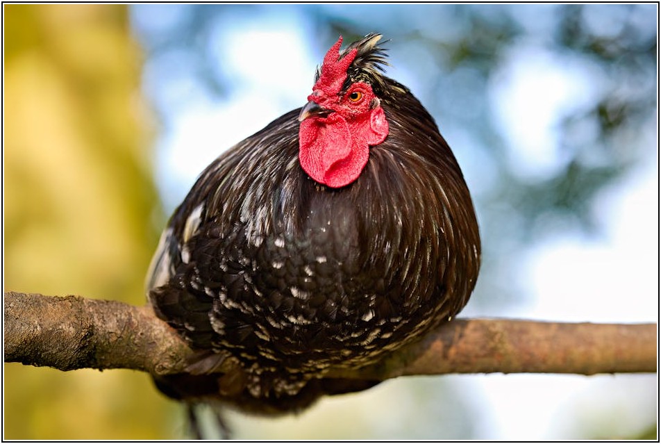 인생네컷 앨범, 어디서 살까? 추천 리스트 총정리