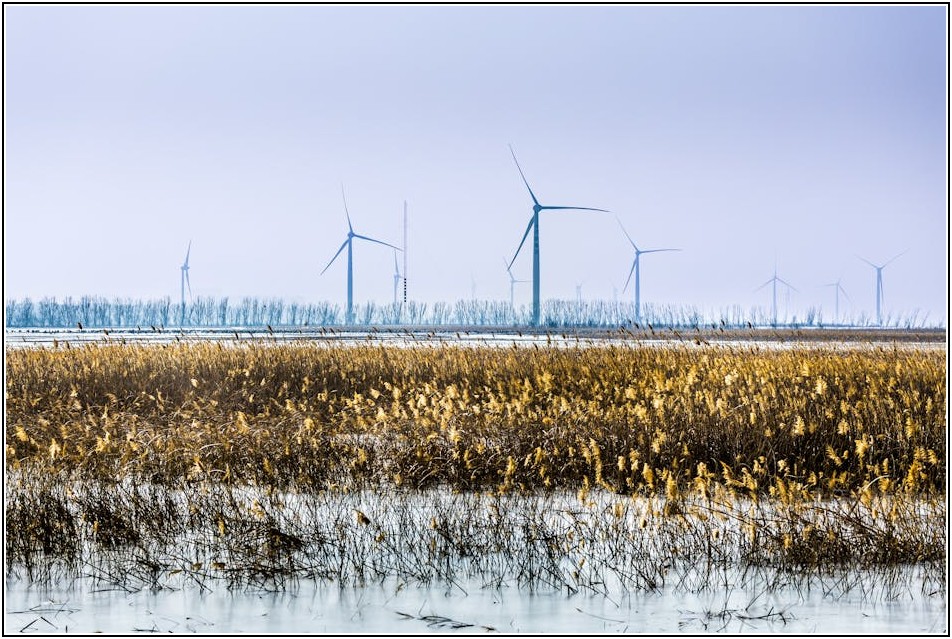 생활 속 탄소중립 실천: 지구를 위한 나의 작은 변화