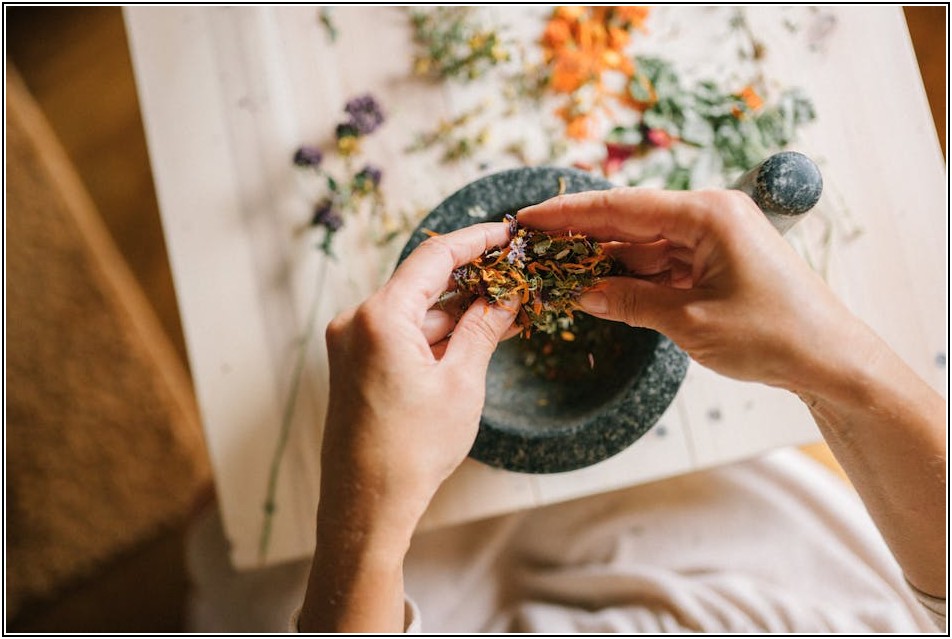 SAT 점수 상승의 비밀, 합격자들의 공부 습관