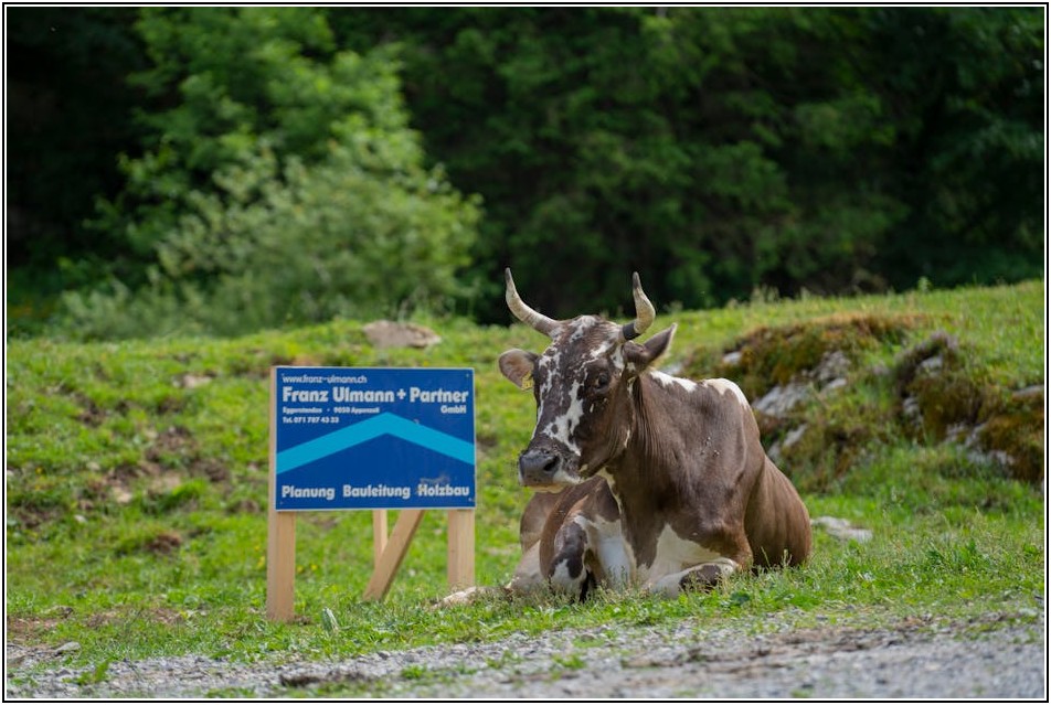 부산 건설의 자부심, 최신 시공 사례 완벽 분석