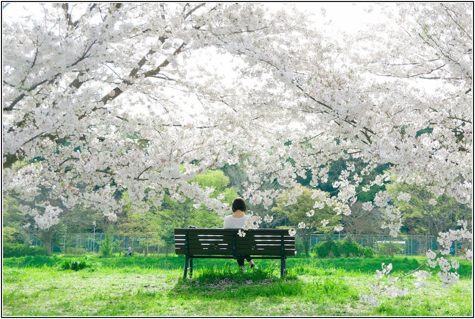 벤치프레스 훈련 효과 극대화, 영양 섭취 전략