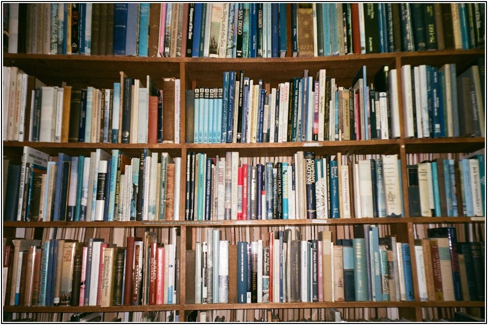 채권압류 추심명령, 어려운 채권 회수의 모든 것