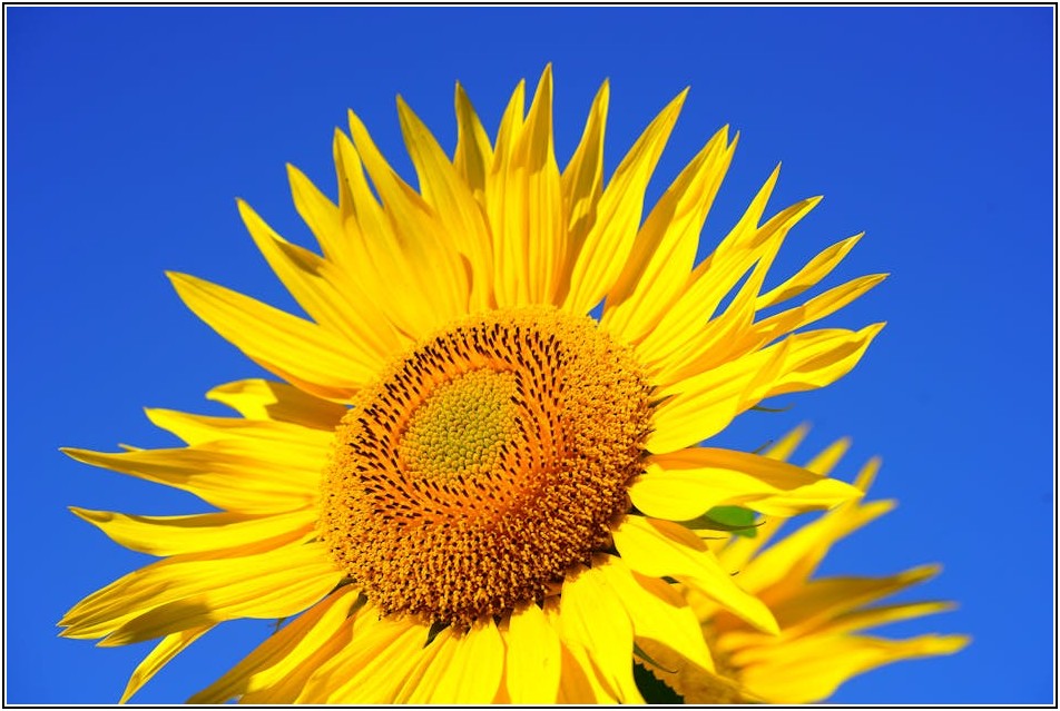 칼라 에폭시, 색상과 디자인으로 공간에 생기 불어넣기