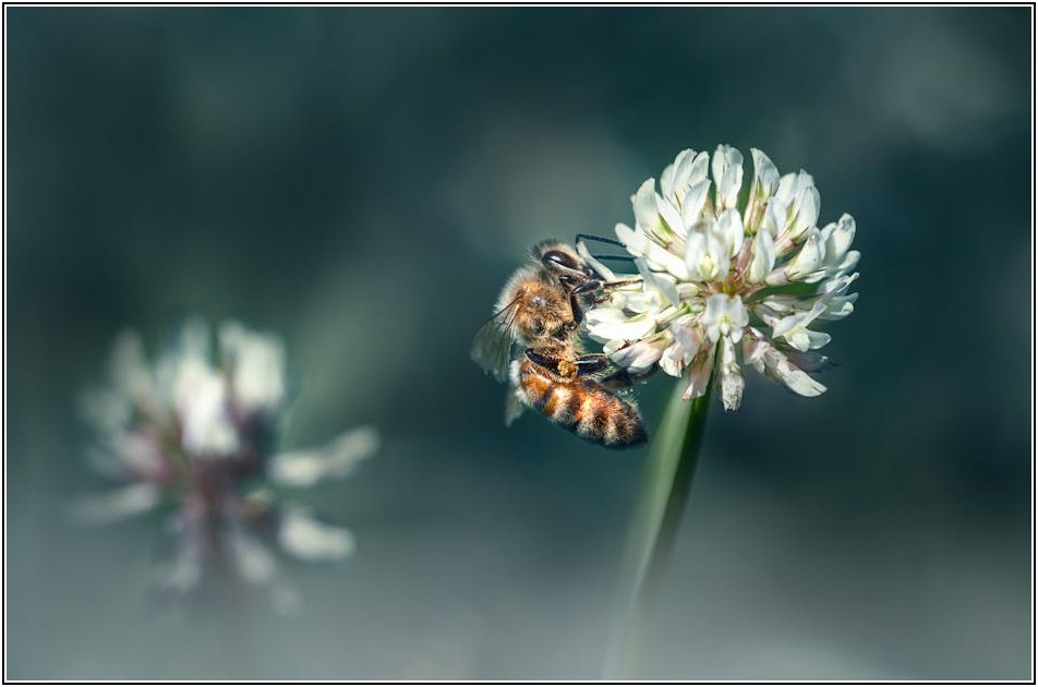 벌집 조명으로 똑똑하게 에너지 아끼고 공간 디자인 완성하기
