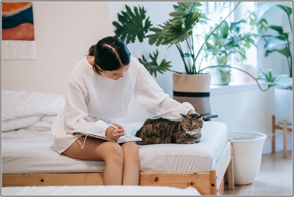 월 렌탈료로 새 침대 쓰는 법, 침대 렌탈 완벽 가이드