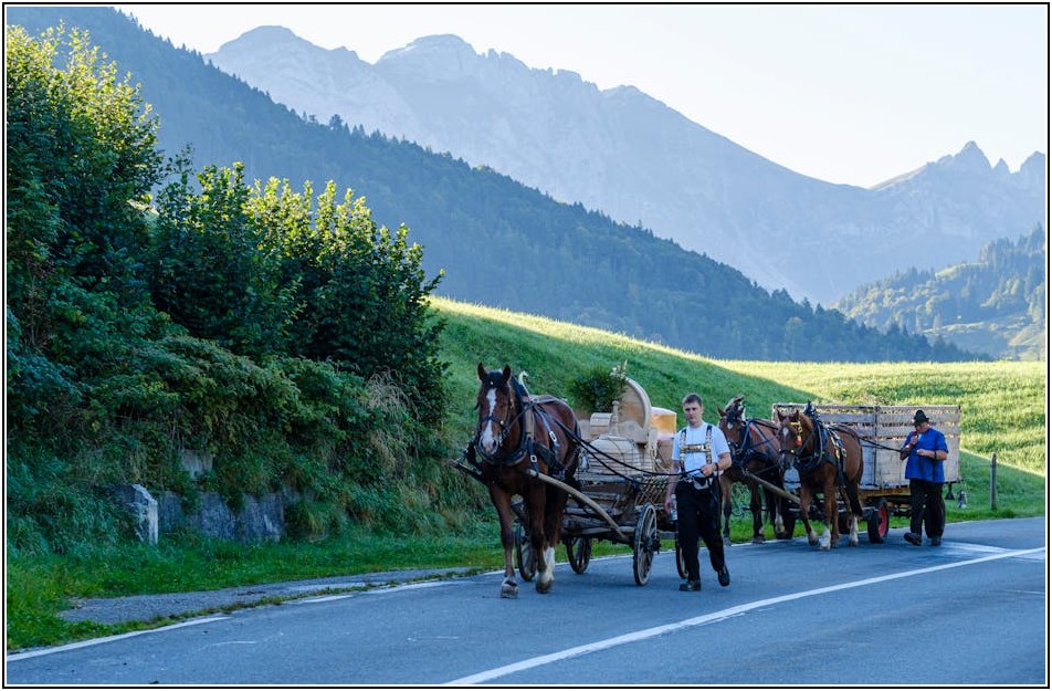 농업법인 설립 A to Z: 절차부터 혜택까지