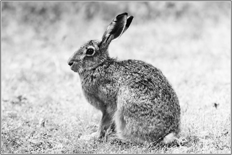 7월 공모주, 옥석 가리기 위한 기업 성장성 분석