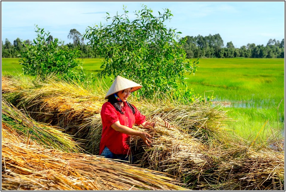 계절근로자 불법 고용, 더 이상은 안 됩니다
