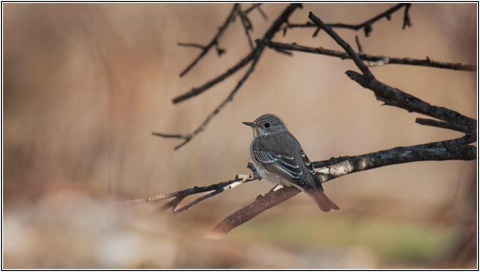 부산 소형 창고 임대 필수 가이드: 종류별 특징 파헤치기