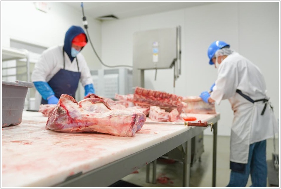 나만의 고기집 성공 전략, 벤치마킹으로 완성하기