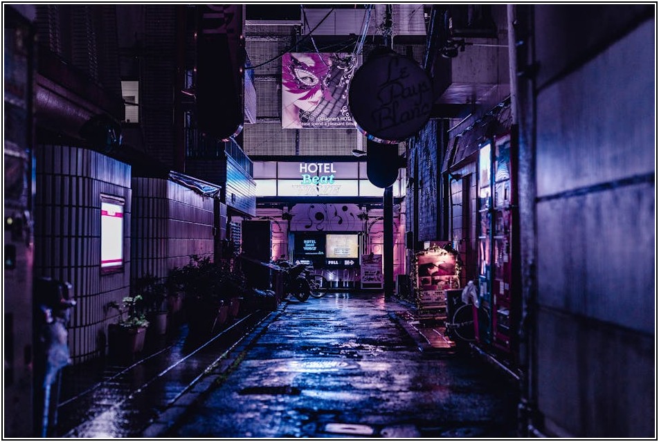 일본 술집 완벽 가이드: 인기 메뉴와 술 추천