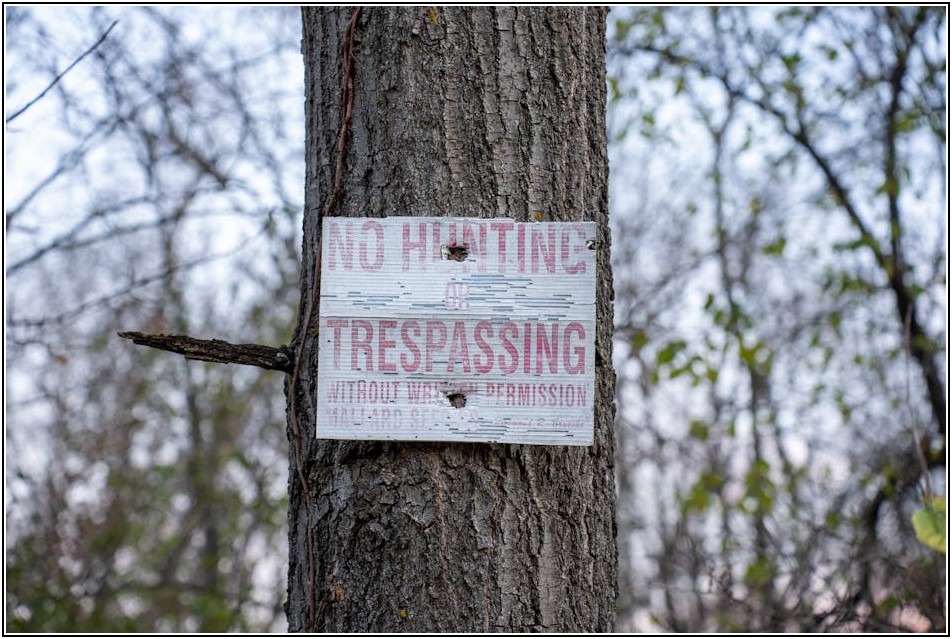 소상공인 주목! 4분기 정책 자금 신청 완벽 가이드