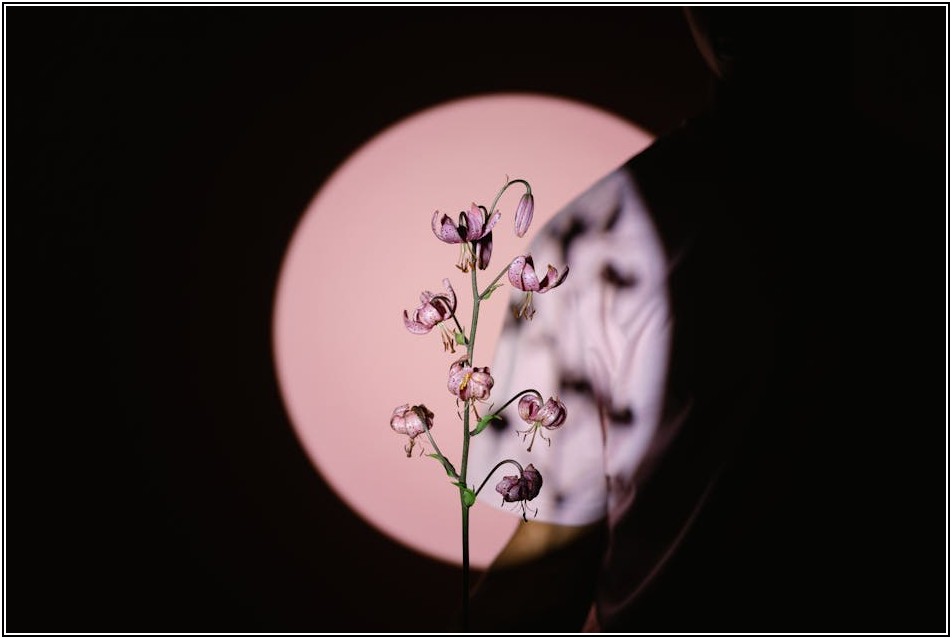 칼라복사, 이것만 알면 완벽 마스터!