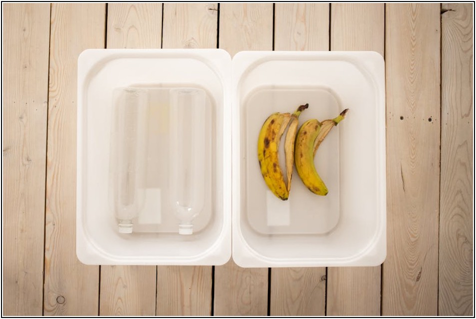 나부터 실천하는 플라스틱 줄이기 운동