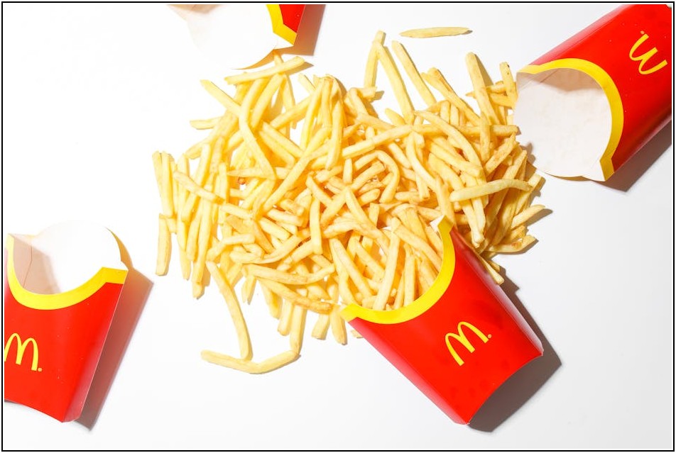 써브웨이 창업, 성공 전략과 필수 정보 총정리