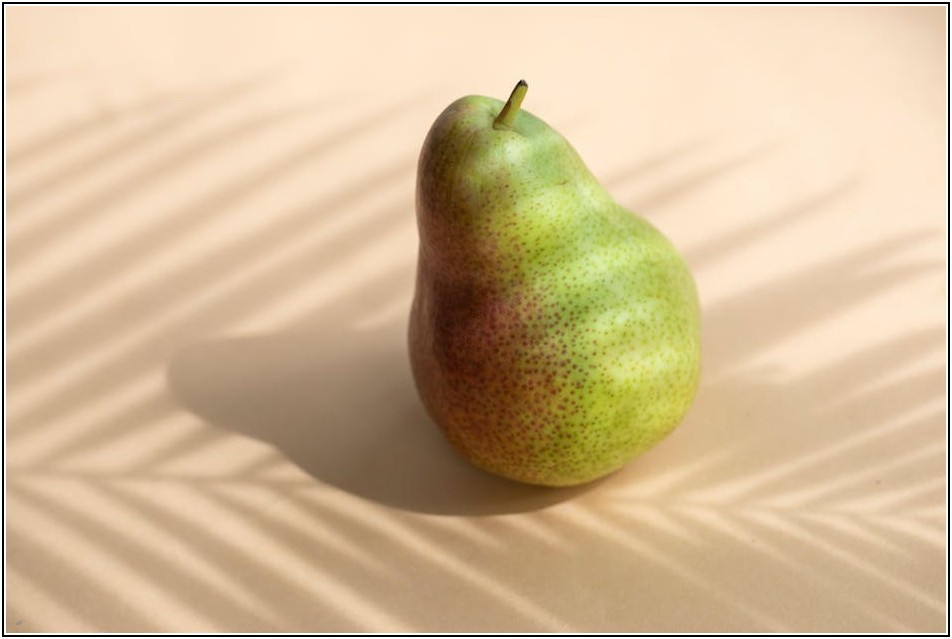 종신보험 만기, 보험금 똑똑하게 받는 비결