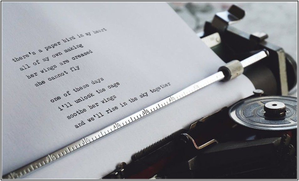 번역 시장의 숨은 보석, 분야별 전문 번역가 완벽 가이드